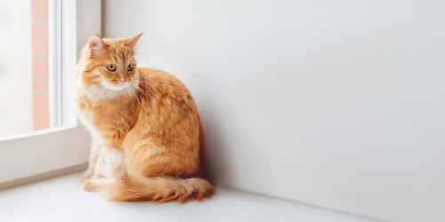 Similar image 21281766