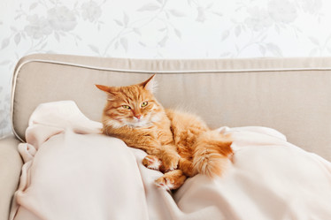 Similar image 21281767