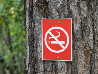 Similar image 21281768