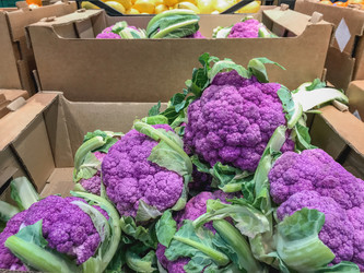 Similar image 21281769