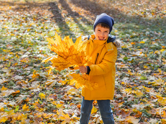 Similar image 21281774