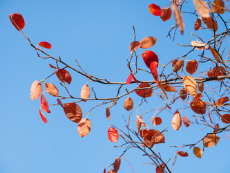 Similar image 21281791