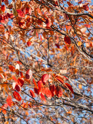 Similar image 21281792