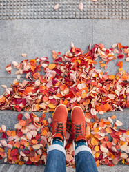 Similar image 21281795