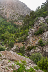 Similar image 21282532