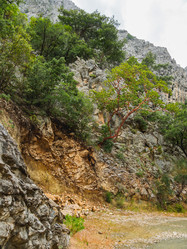 Similar image 21271169