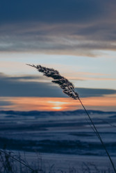 Similar image 21268393