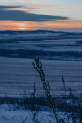 Similar image 21268580