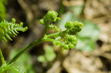 Similar image 21268739