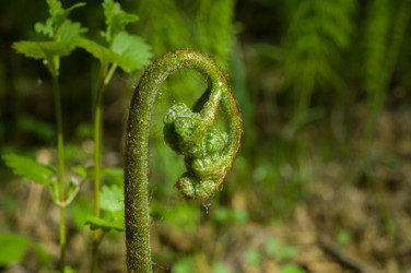 Similar image 21266888