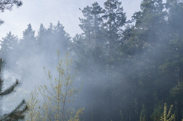 Similar image 21266889