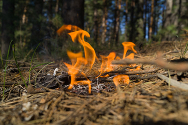 Similar image 21266893