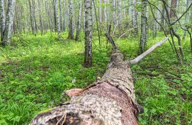 Similar image 21264570