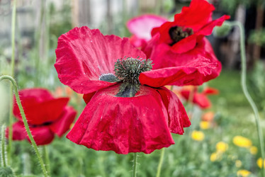 Similar image 21264573