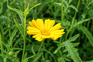 Similar image 21264574