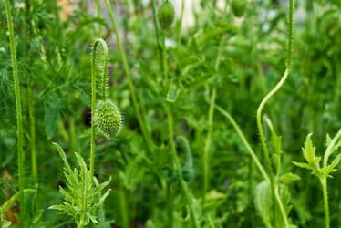 Similar image 21264575