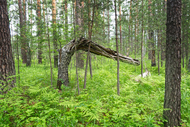 Similar image 21264576