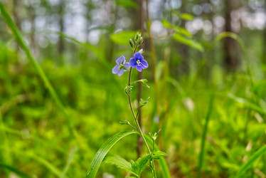 Similar image 21264579