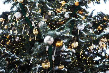 Similar image 21291779