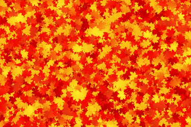 Similar image 21266214