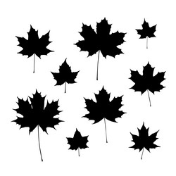 Similar image 21266220