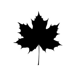 Similar image 21266225