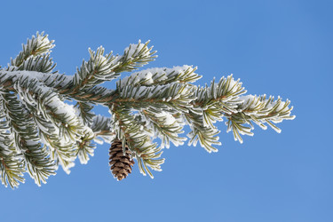 Similar image 21280183