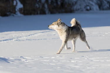 Similar image 21280199