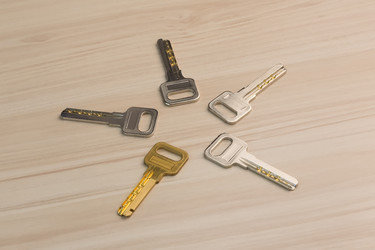 Similar image 21280201