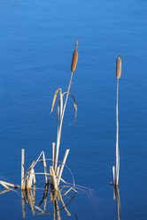 Similar image 21280204