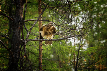 Similar image 21280207