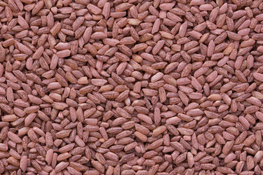 Similar image 21280224