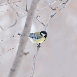 Similar image 21280227