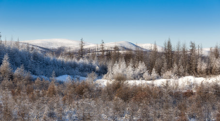 Similar image 21280253