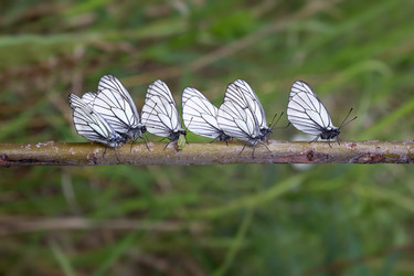 Similar image 21280259