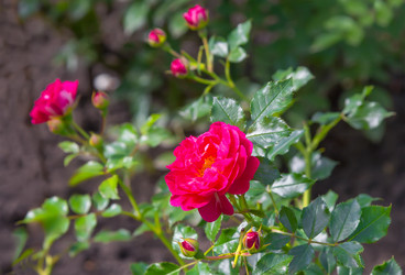 Similar image 21282835