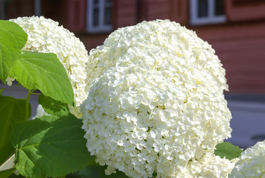 Similar image 21282837