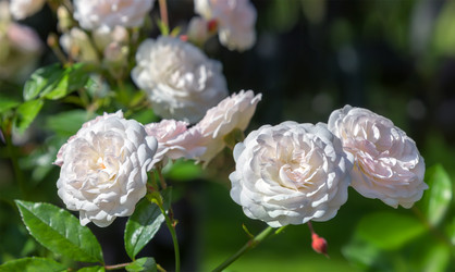 Similar image 21282839