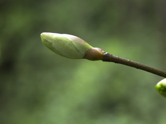 Similar image 21264970