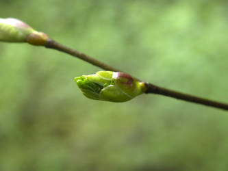 Similar image 21264971