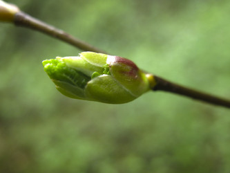 Similar image 21264972