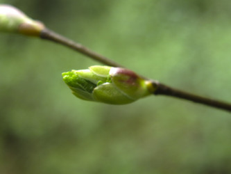 Similar image 21264973