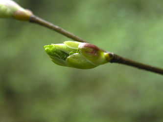 Similar image 21264974