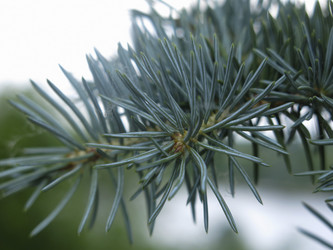 Similar image 21264976