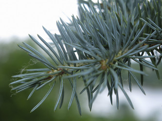 Similar image 21264977