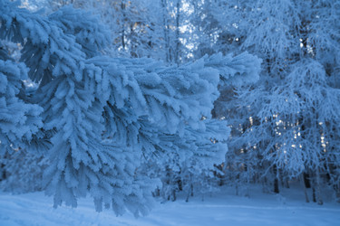 Similar image 21266764