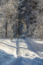 Similar image 21266766