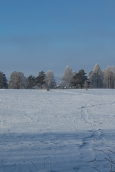 Similar image 21266767