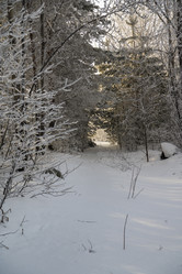 Similar image 21266770