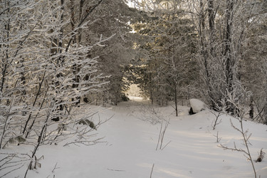 Similar image 21266771